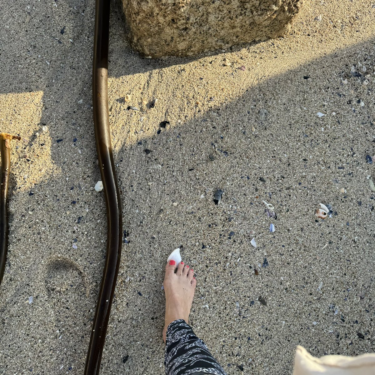 s_abutterfly's tweet image. #shattered #atlanticseaboard  #fulllitter #NoExcuse #stopapathy #saisfullrubbish #seethereallife #southafricanow #noblueflag #seetheplastic #atlanticseaboardcouncil  #whattheh #seapointpromenade