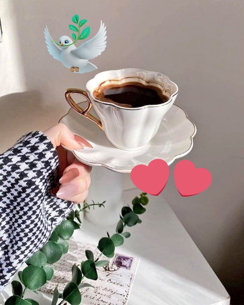 ☕🍫 ⓐ @jrilll @_itid @siri_1_ @i90OY @ZqOy3 @Yyiio1G @2_nowr 🍫 @rda_9911 @poohglm @GH_57_Ly @_M_Sc_0_ @alsuhaad @al_ssalmi @BoutrfaW @ghrabil37 @N___S555 🍫 @m_d44554 @Alaayous3 @alwafyy777 @karmah222 @naglaa7576 @HakmHsham @UiUi11496587 @ahmead_ayman 🍫 #دعم_قمرية @fii130