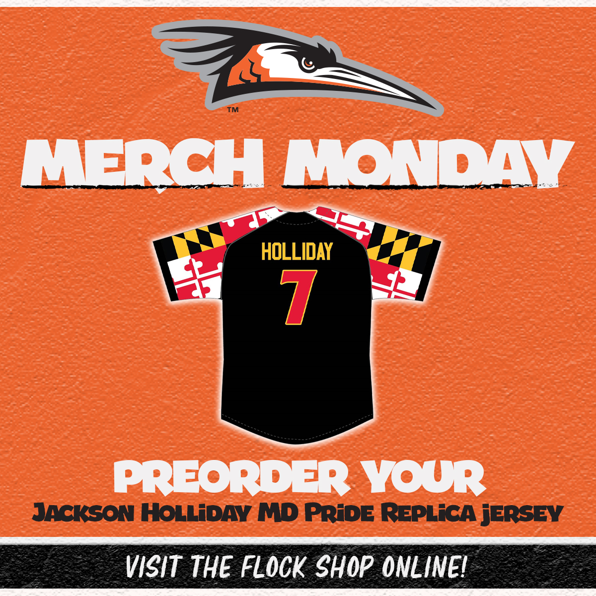 You asked, you shall receive! Preorder YOUR very own Shorebirds Maryland Pride Replica JACKSON HOLLIDAY Jersey only in the Shorebirds Flock Shop! 👇 Preorder Jersey 👉 bit.ly/44TFSFN #FlyTogether | #Birdland