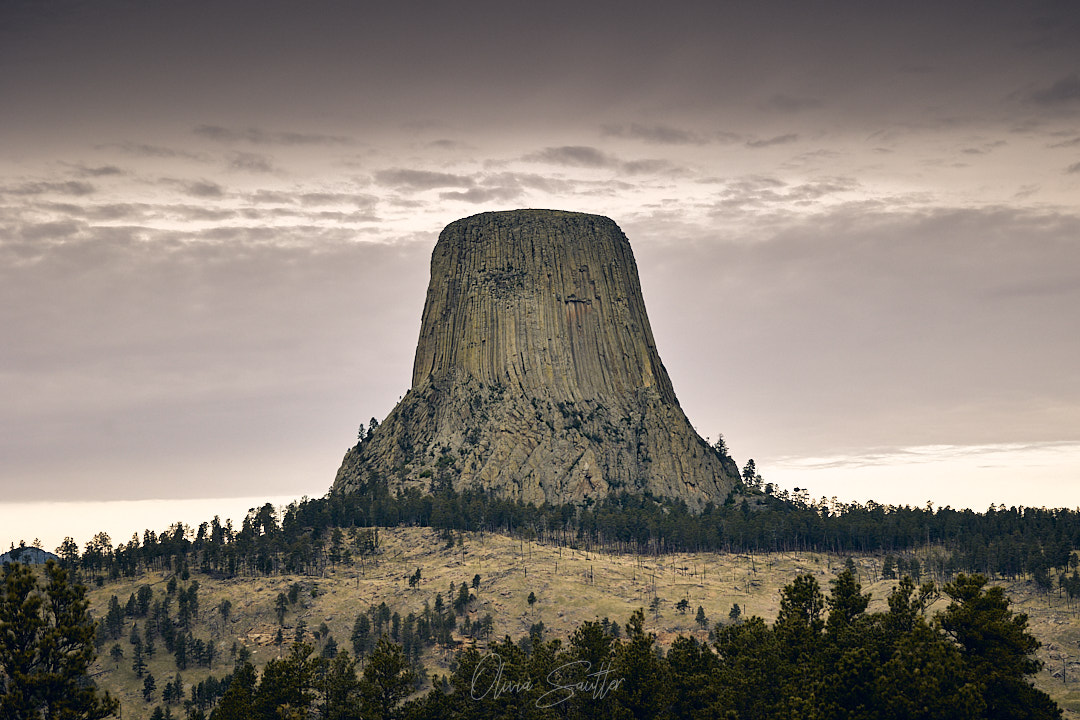 Devils Tower, WY
@devilstowernp