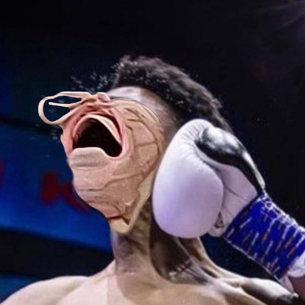 Laughing Shoe tweet media