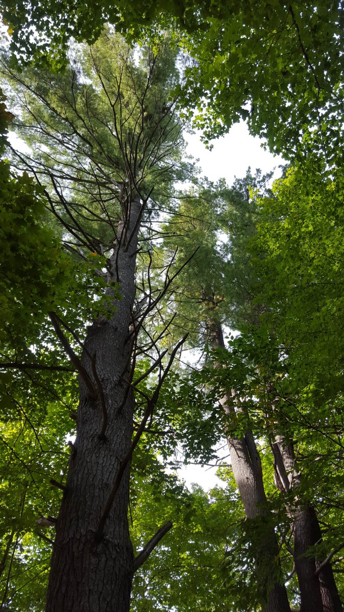 Immerse yourself in the tranquility of our waterfront community.