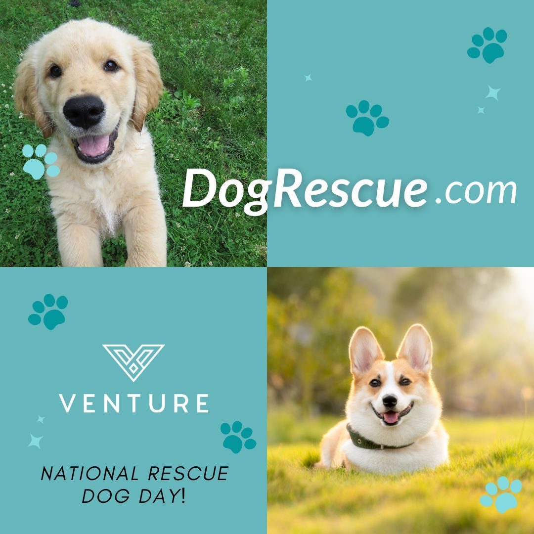 Venture.com tweet media