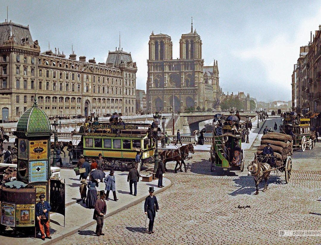 HistoryColored tweet media