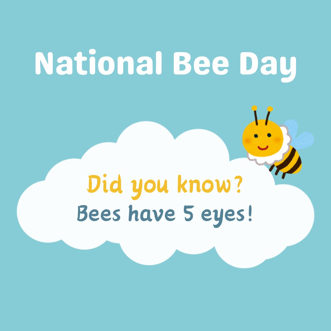 Today is National Bee Day 🐝 Bees are the best, aren't they? Did you know they have five eyes! 👀 What's your favourite thing about bees? #londonnursery #londonmums #londondads #londonparents #parenting #barnet #millhill #hendon