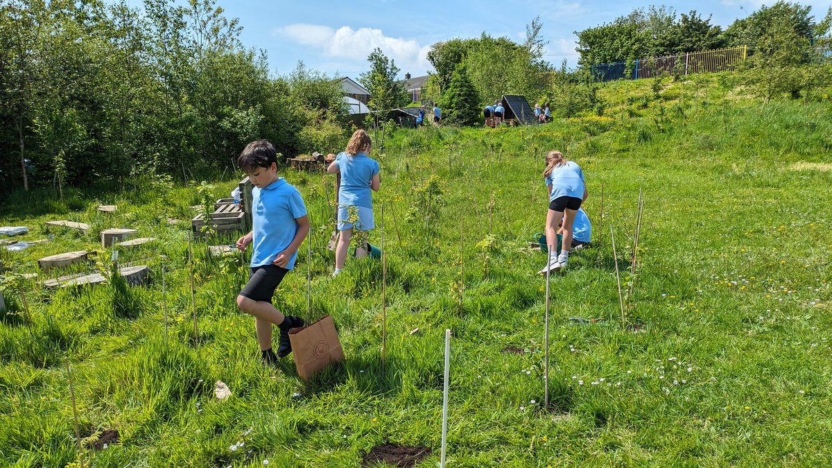SwissValleyCP's tweet photo. Bl4 planted wild flowers by #CylchCroeso , worked in the #allotment while others worked on their #teambuilding skills by #cooperating and #communicating to build #shelters and #dens #SVCPOutdoors #SVCPGardenAllotment https://t.co/wpxe2Z8dNK