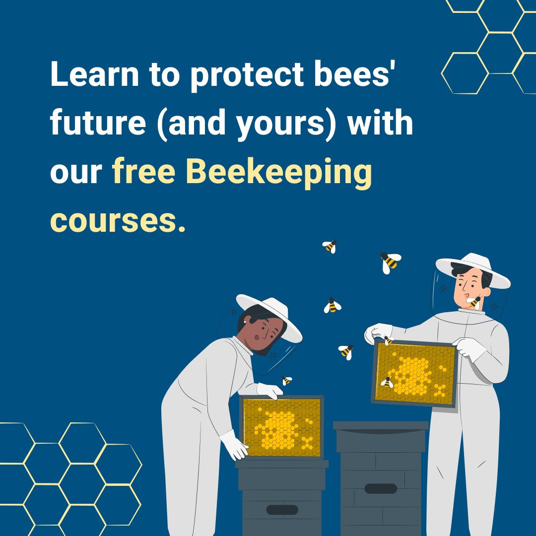 🐝 Happy #WorldBeeDay! 🌼 Let's salute the tiny unsung heroes of our ecosystem – bees! Join us in safeguarding their future by completing our #FreeBeekeepingCourses - ow.ly/HskF50RJscF. #SaveTheBees #Pollinators #BeeAwareness #Beekeepers #Alison #EmpowerYourself