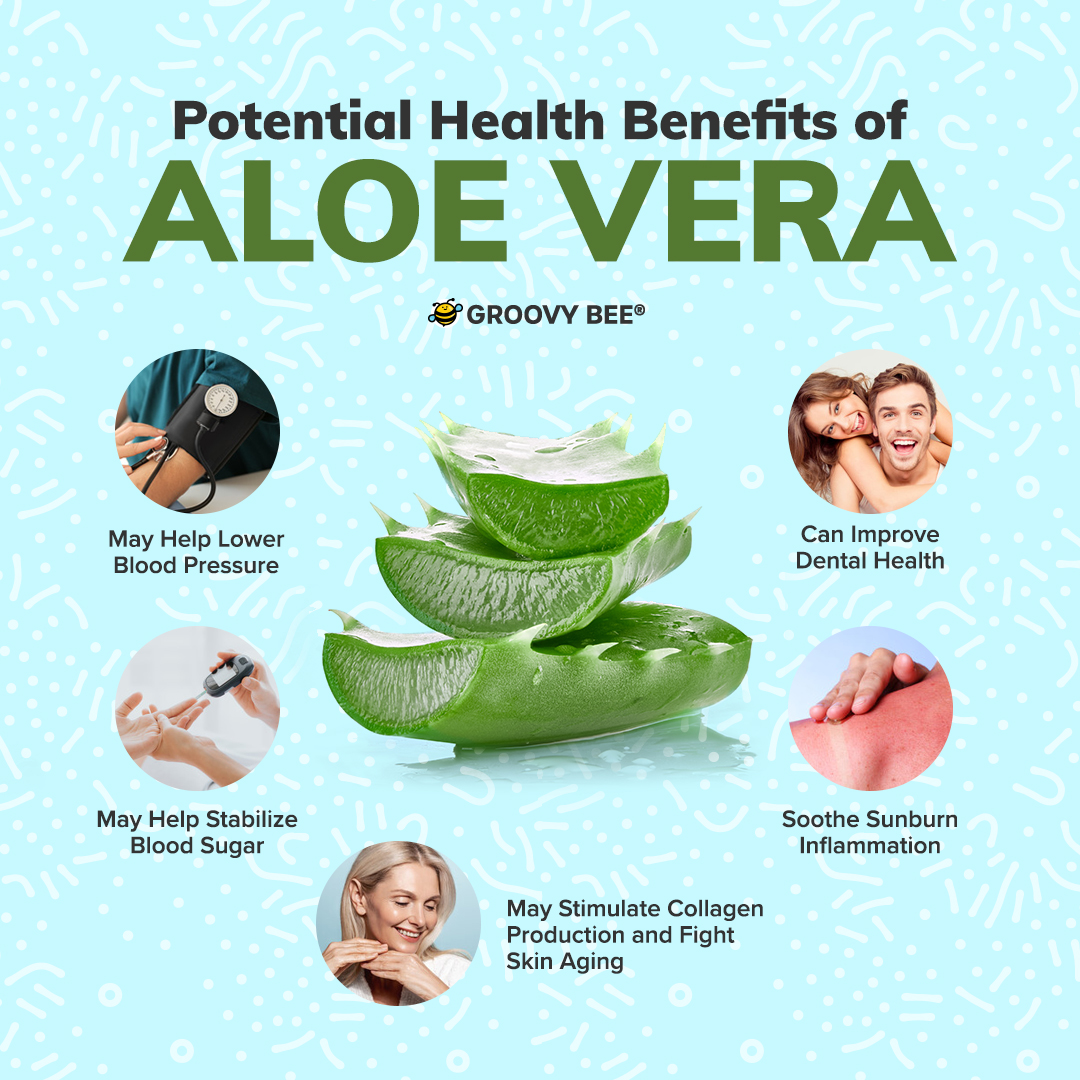 Potential Health Benefits of Aloe Vera #healthbenefits #organic #naturalremedies #healthyliving