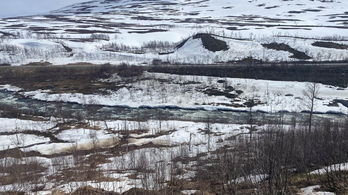 Crossing the Arctic Circle (heading south) #Nordlandsbanen