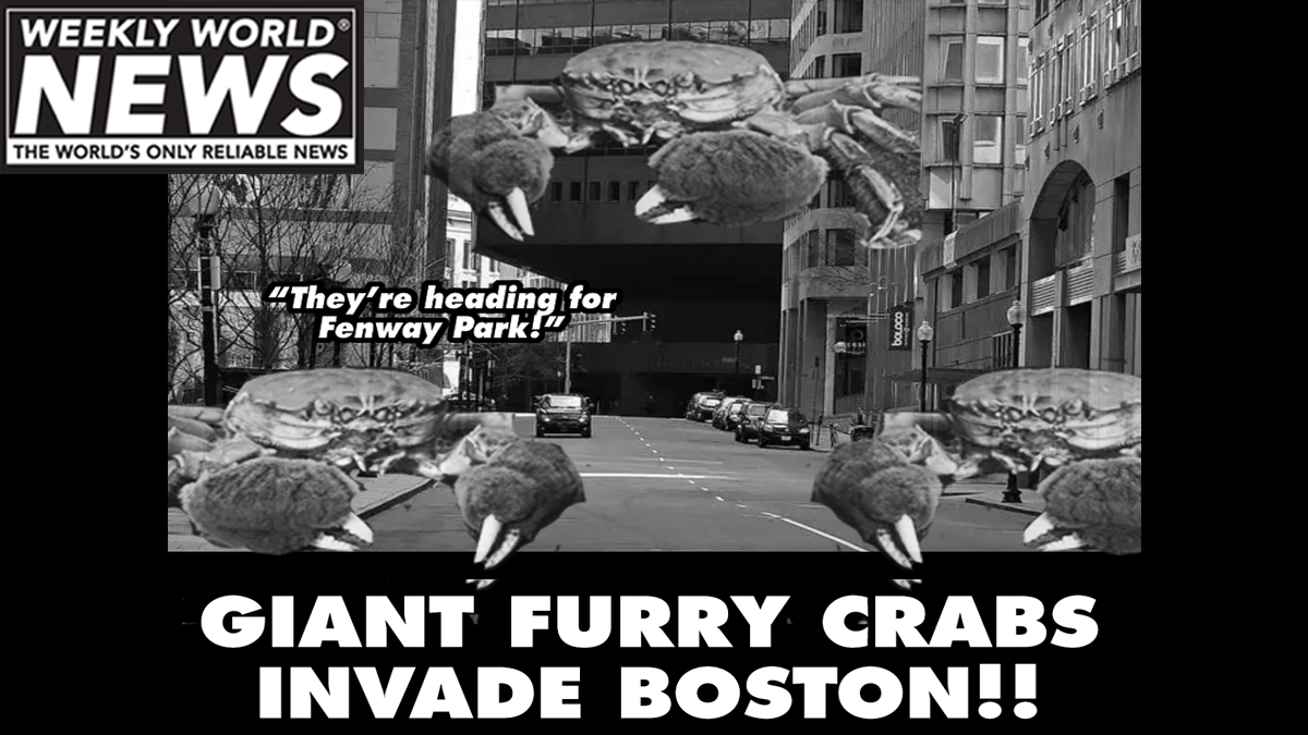 weeklyworldnews's tweet photo. "They're originally from England. They got on some ship and here they are. A big problem for us at the moment."
#crabs #jumbocrabs #giantcrabs #boston #invadeboston #fenwaypark #thefens https://t.co/8yw9FGLHVF