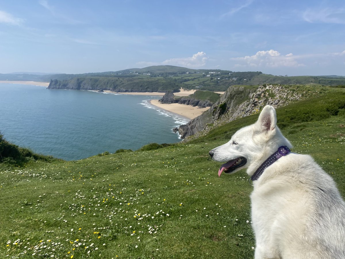 NonEvans's tweet image. @DerekTheWeather Beaitiful day in Southgate #threecliffs with Misha 🐕🐕☀️@Ruth_ITV ❤️