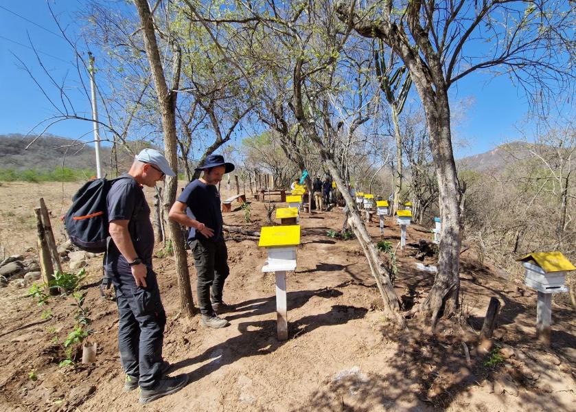 #Giornatamondialedelleapi Focus sul progetto #SANAPI a cui partecipa @LaStatale. Il progetto unisce la cooperazione con i Paesi emergenti come la Bolivia, ai temi della sostenibilità ambientale, delle #api e dell’empowerment femminile 👉 bit.ly/3wKgs0U