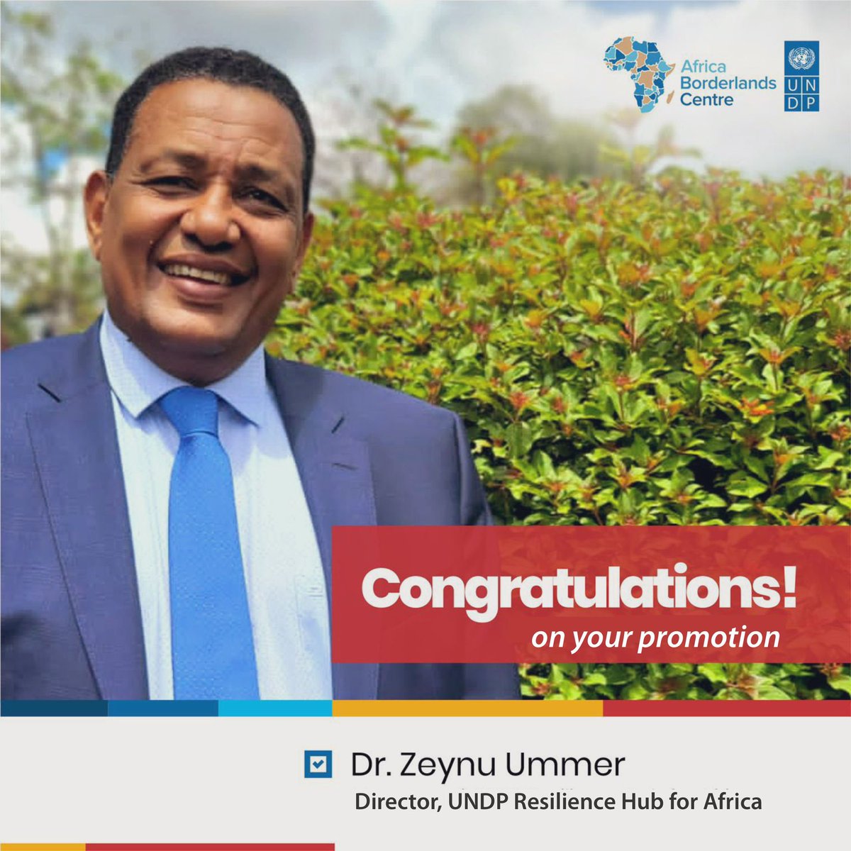 UNDP Resilience Hub for Africa 🌍 tweet media