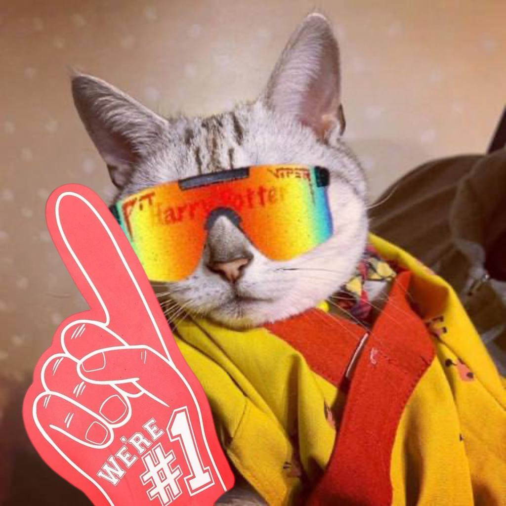 1CAT tweet media