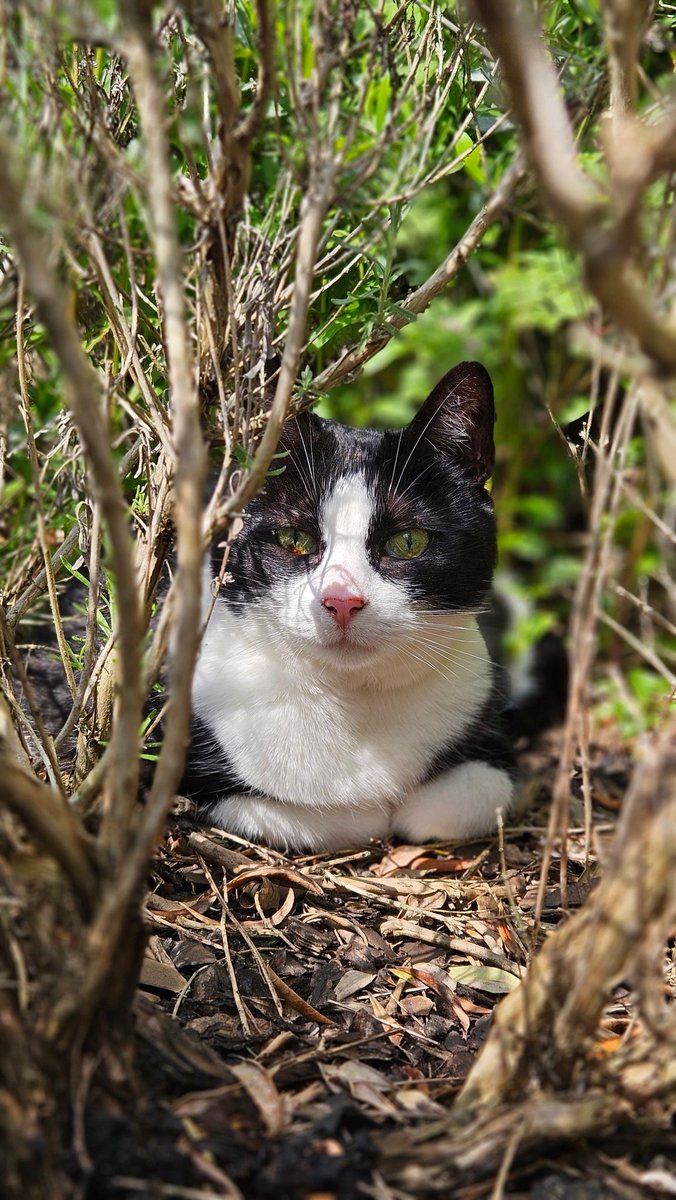 For safe passage, you must answer her riddles three