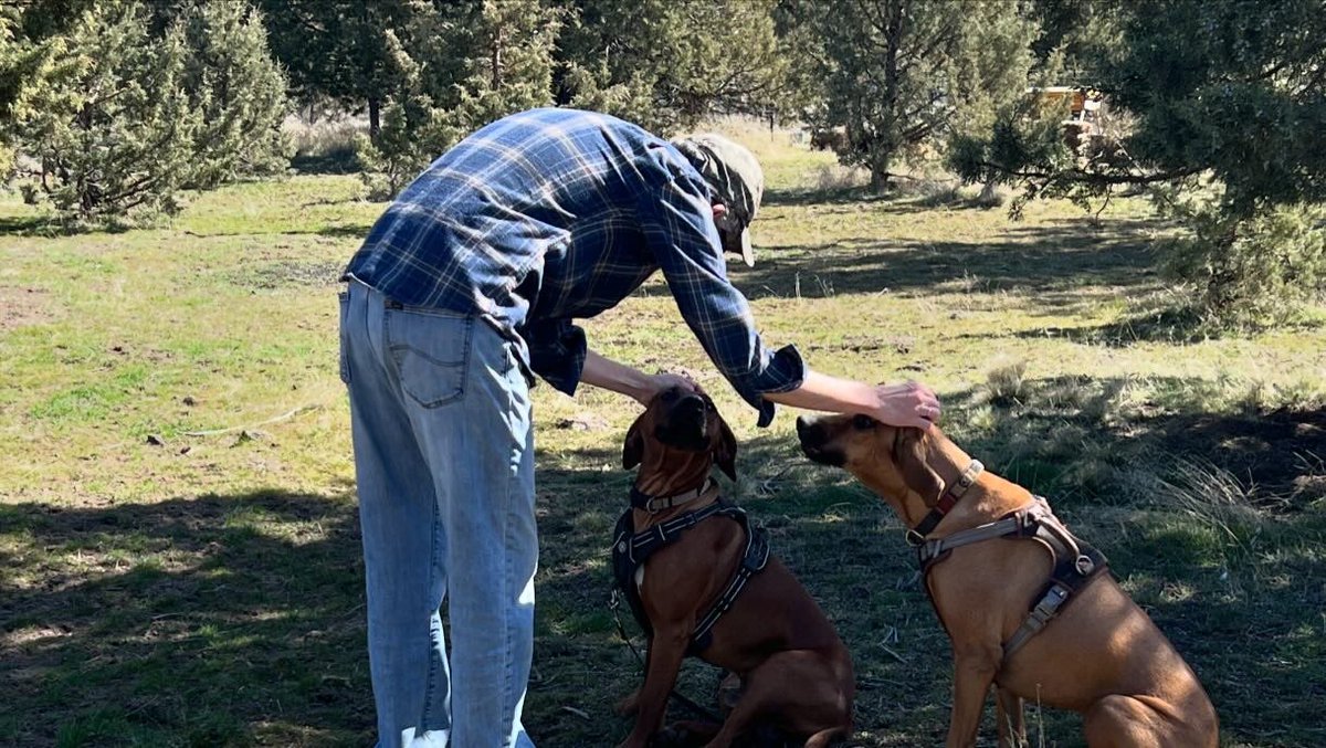 Skinner1C's tweet photo. ❤️❤️❤️❤️
#JamieForOregon #OregonForJamie #OR05 https://t.co/C5lWzFgYII