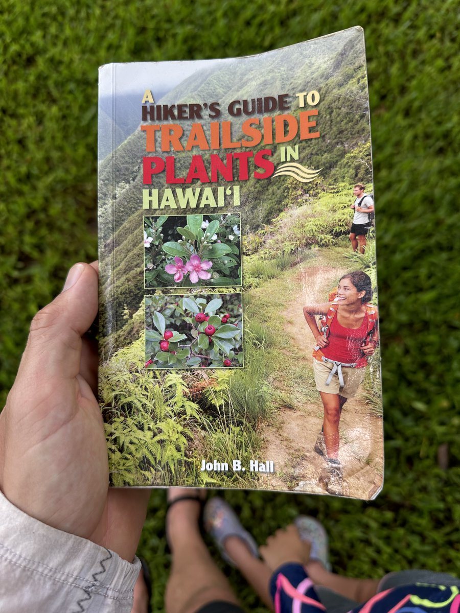 leafbox's tweet image. "You can eat any plant once, but some twice"