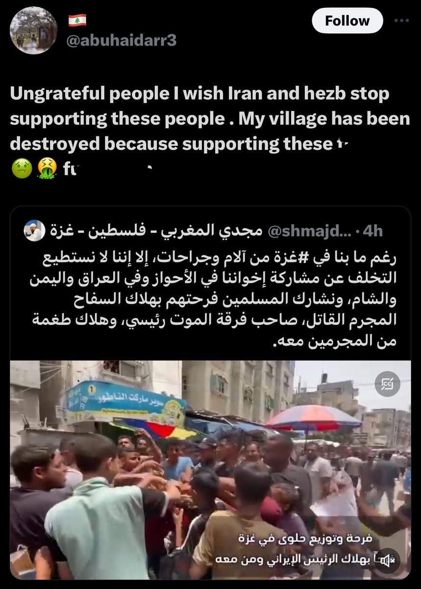 Hezbollah supporter mad that Palestinians don’t support the killers of Palestinians in Yarmouk, Syrians, Iraqis, Baluchs, Kurds and etc