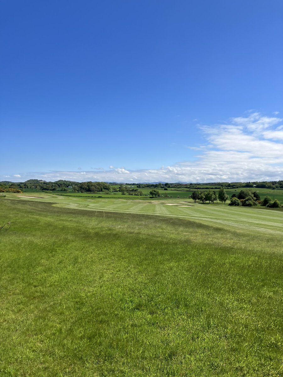 Rab Burns tweet media