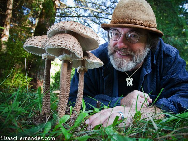 'Mushrooms can help us understand the interconnectedness of life and our place within it.' - Paul Stamets