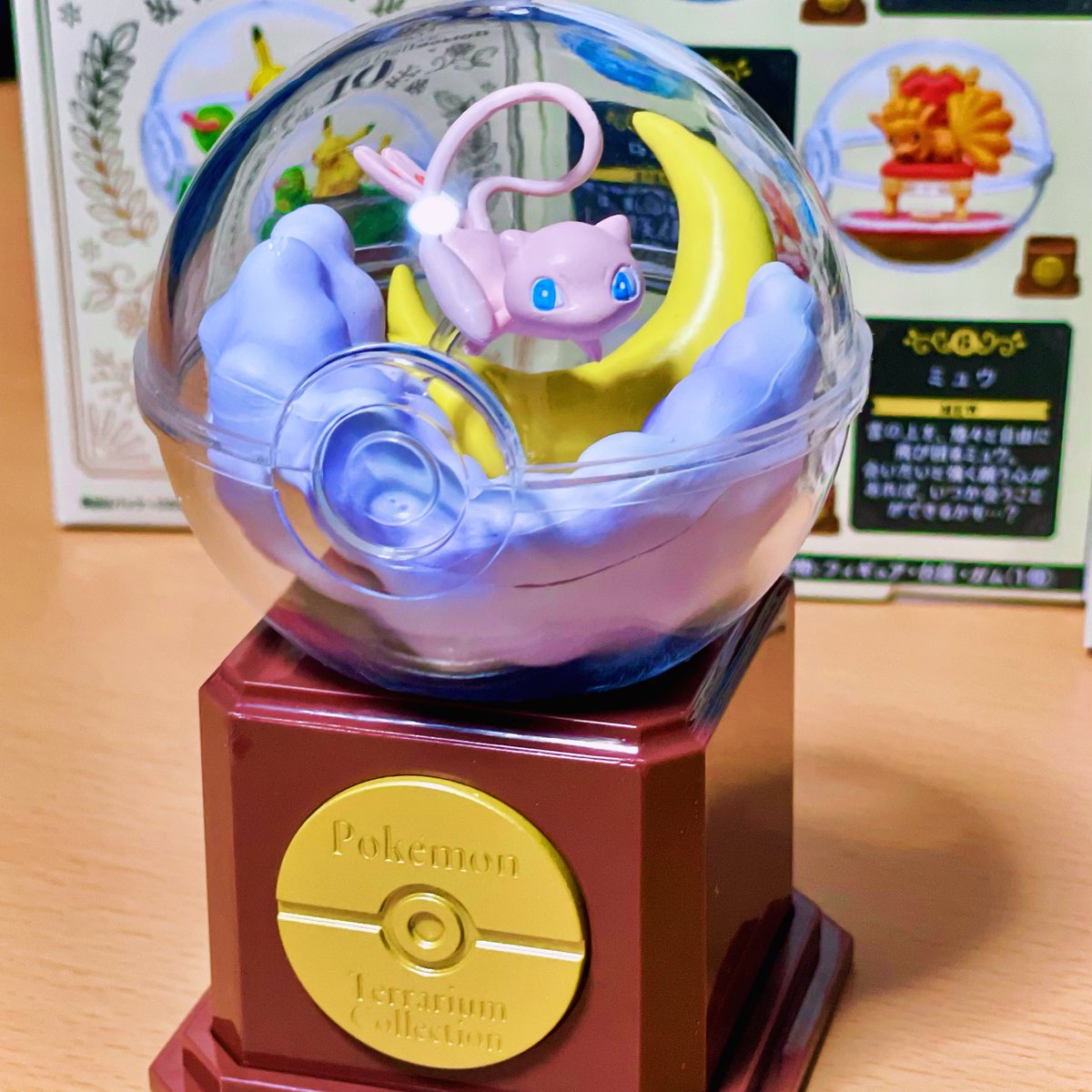 t4kun's tweet photo. オトナ買い最高！(`⊙ω⊙´)ｶｯ!!

Agora tenho que achar onde colocar todos os 6 orz

#pokemon #ポケモン #pokemonterrariums #figurecollector https://t.co/t2hehT80Gz
