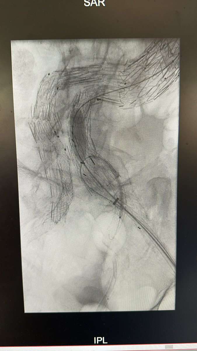 Jesse Chait tweet media