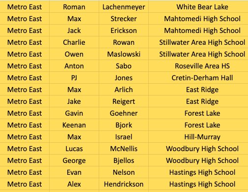 Your 2024 Metro East All Stars