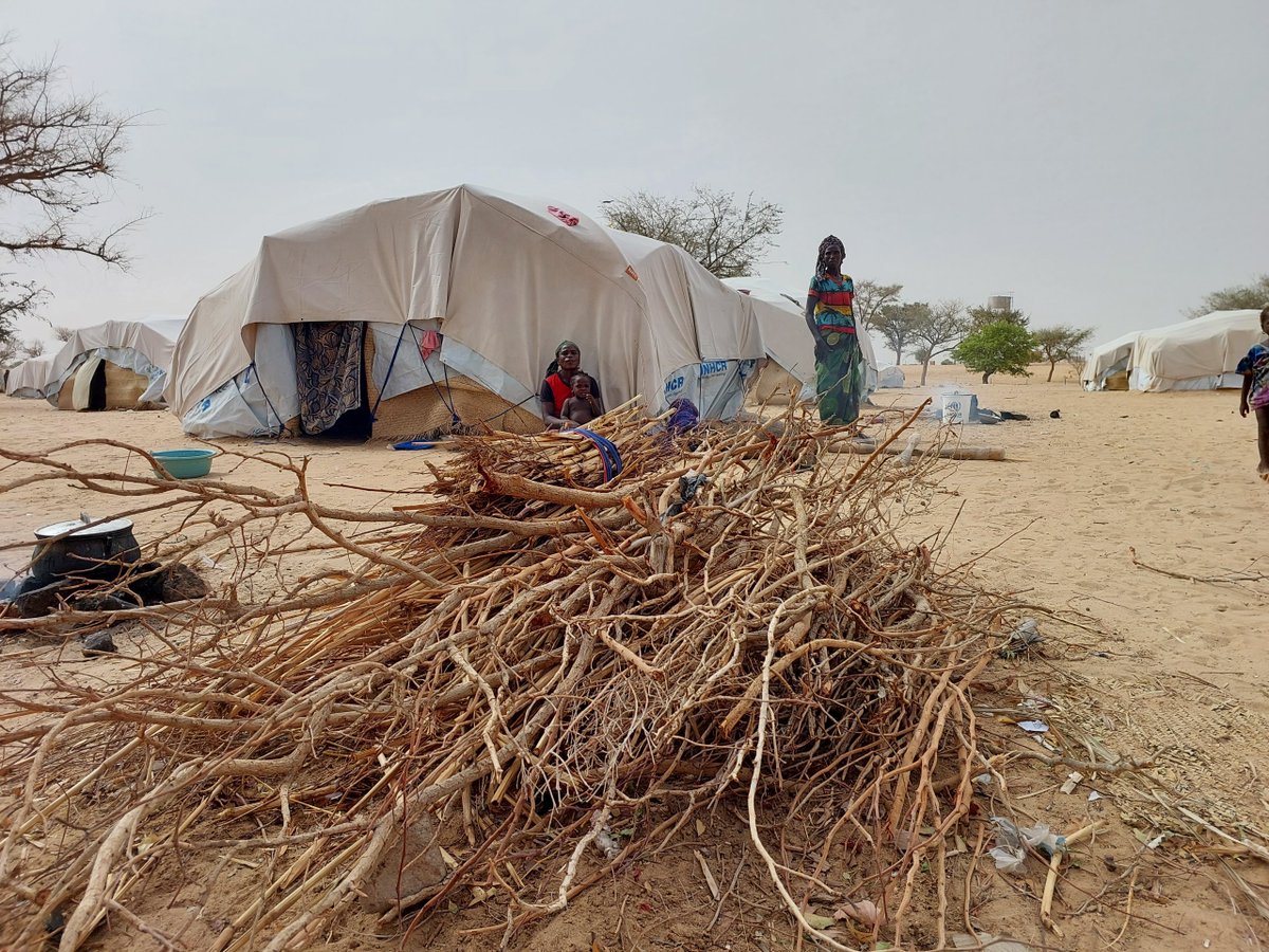 Depuis janvier 2024, le Niger a accueilli 16 900 nouveaux réfugiés et demandeurs d’asile, ainsi que 3 456 nouveaux déplacés internes. Le HCR coordonne une réponse qui a, entre autres, fourni 383 abris d’urgence et distribué des articles de ménage essentiels à 2 309 familles.