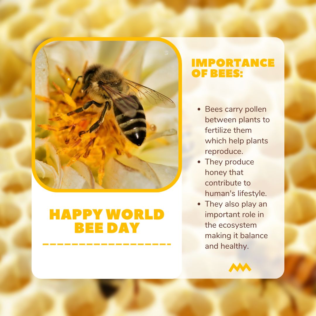 #WorldBeeDay Happy World Bee Day! #BorrowedEarth #EveryDayIsEarthDay #BeTheChange #WeAreGreen