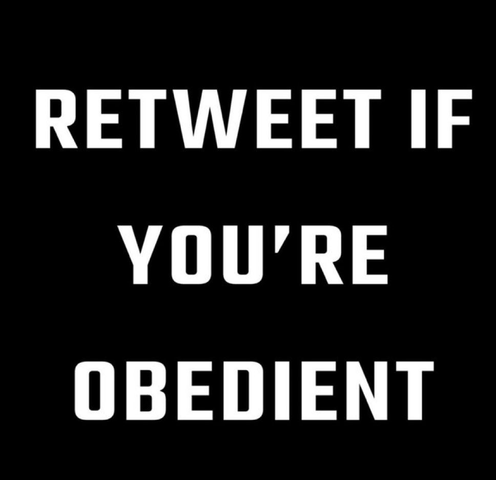 The less I have to train you the more I can take pics of your gaping holes 🕳️ fa99ots
#BnwoCommunity