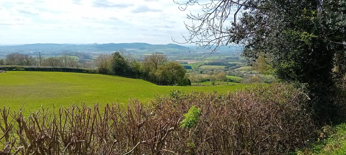 Do you know when these 20 #foods came to the #UK? <a href="/quizspot1/">quizspot</a> <a href="/ReviewSpotUK/">ReviewSpot.co.uk</a> quizspot.online/categories/foo…