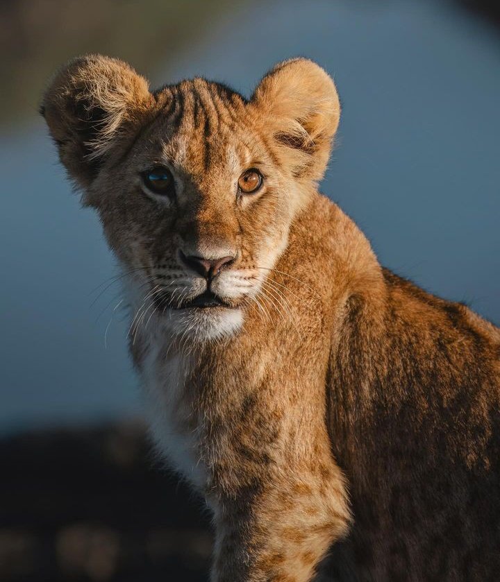 kenyapics's tweet photo. At the end of the day ,the day end's 

Have a love night 🇰🇪❤️ https://t.co/FY7Ymly7TH
