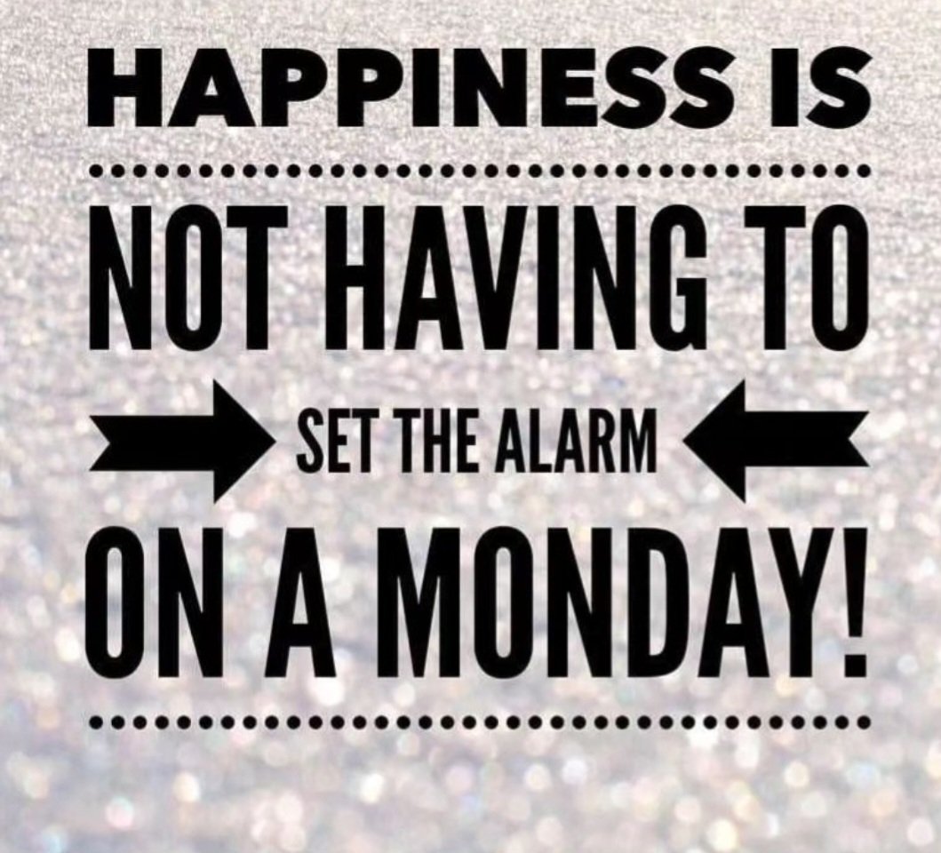 SearchMortgageC's tweet photo. 🚨 Rate Update and Meme Monday in one! 🚨 Happy Victoria Day! Hopefully, the fireworks don't keep you up at night 🎆

Contact us below for all your mortgage needs ⬇️

💻 https://t.co/IX5BrYfhuy
📧 Info@SearchMortgage.ca
📞 647.847.5559

#Mortgages #VictoriaDay https://t.co/SPI6UN15ud