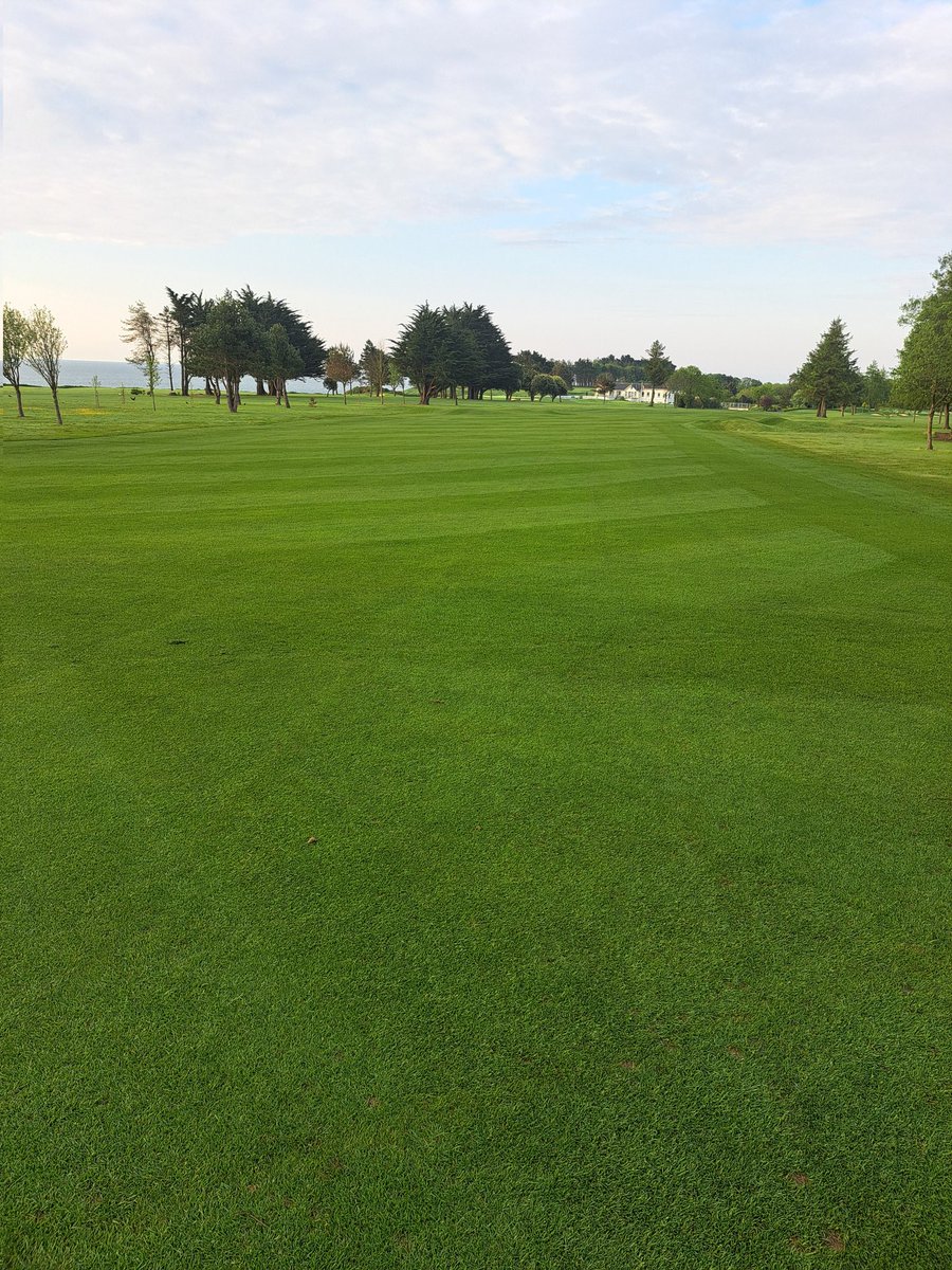 Course <a href="/BlainroeGC/">Blainroe Golf Club</a> is getting near the stage you wouldn't mind if <a href="/kevinmarkham/">Kevin Markham</a> popped in with the camera 😉