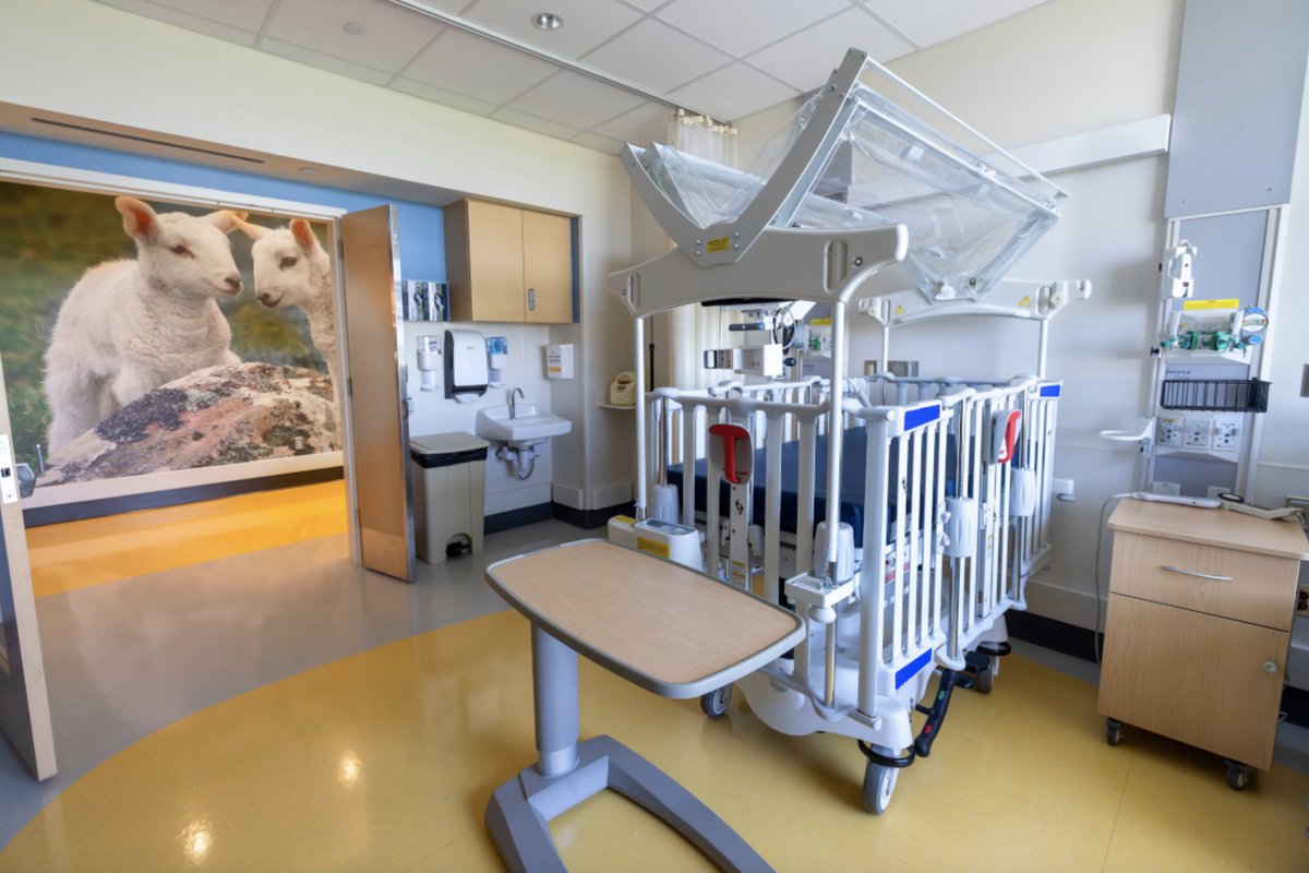 ModularServices's tweet image. Penn State Health Children’s Hospital opens an expanded Pediatric Intermediate Care Unit with our Profile® #headwalls! 🎉pennstatehealthnews.org/2024/05/penn-s…
#Healthcare #Pediatrics #healthcaredesign #hospital #construction #prefab