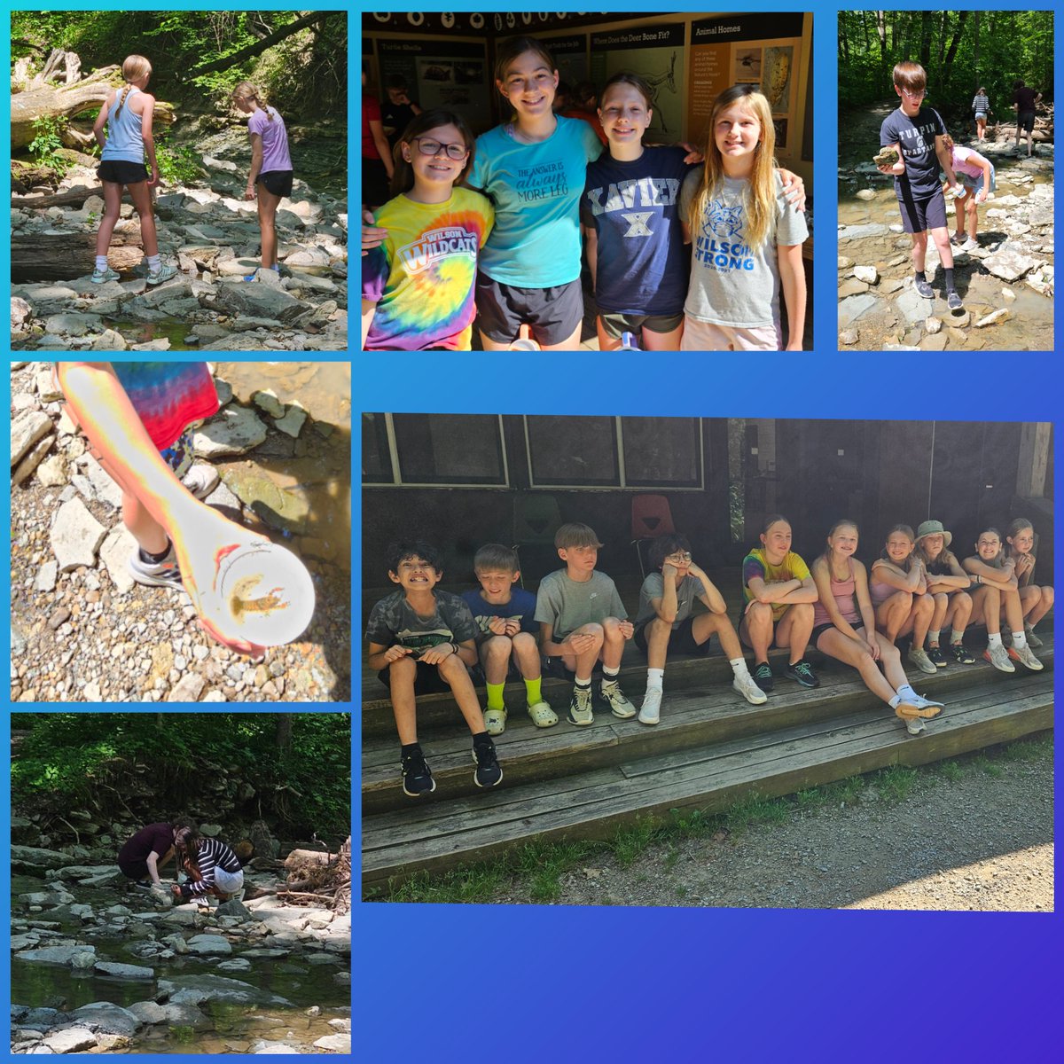 Mrs_LacyWalker's tweet photo. Cincinnati Nature Center with our @WilsonElem Wildcats!💙🤍 https://t.co/sn0peCvIrX