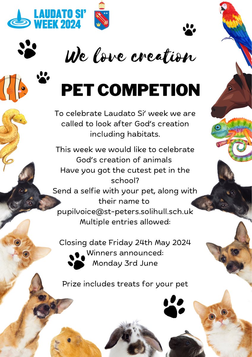 So excited to launch our Pet Competition this Laudato Si’ week. Reminding us all of how we need to be responsible stewards of animal habitats. Is your pet the best? #stewardship #laudatosiweek #habitats #godscreation #endangeredspecies @StPetersSch