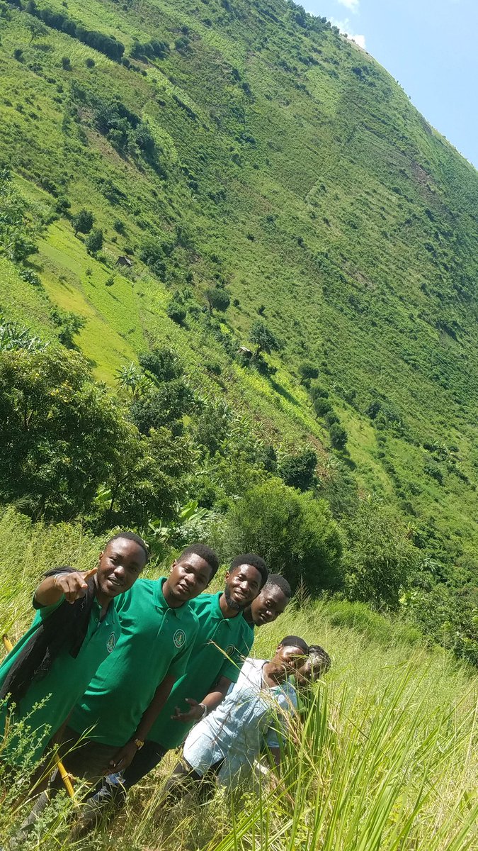 Kaseseyout7741's tweet photo. A walk in nature is the greatest way to kill stress. THE BEAUTIFUL MOUNTAINS OF MUHOKYA.@kizzabesigye1 @WinnieKiiza https://t.co/PcMWS7udM5