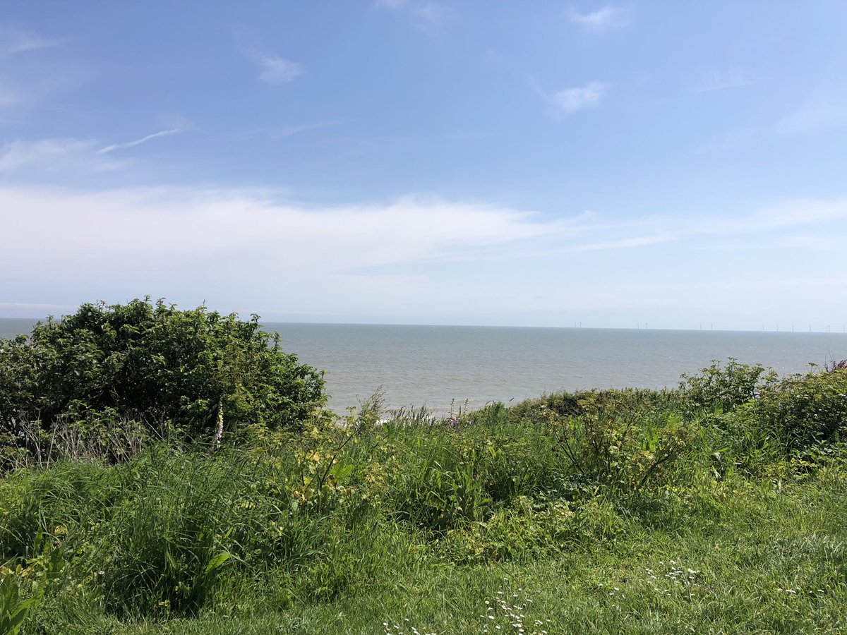 Chappers2013's tweet image. Lovely 12K walk today from near #clacton to #frinton 😎
#dayoff