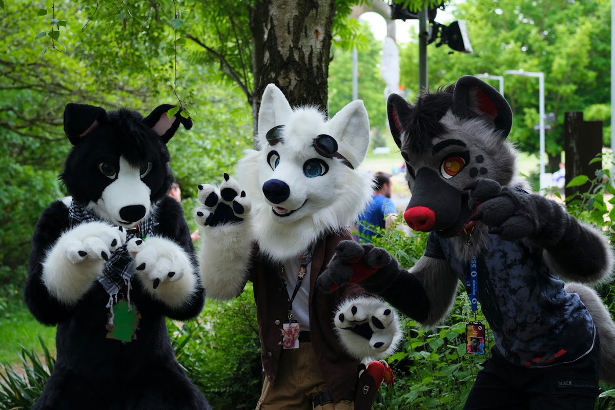 Go Fur It Fursuiters! If you are attending Confuzzled please join the GFI telegram chat to pick the most suitable photoshoot time for you! 

Contact - @ axeltyler on TG and I'll link you the chat ^^ 

Also feel free to join even if you aren't at cf this year!

📷- @DarkModeTiger