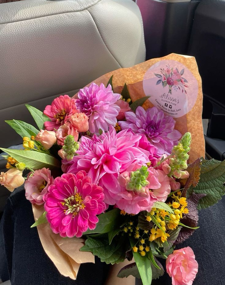 Flowers_7_'s tweet photo. https://t.co/w3RWmJkd9z