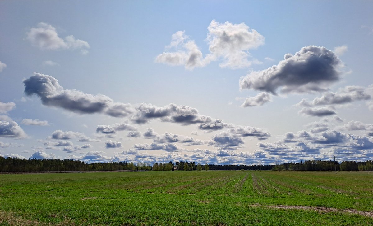 MaaritLiimatai1's tweet photo. Olin tänään @LukeFinland #Ruukki asemalla kairaamassa #ViljaPäästö-hankkeen maanäytteitä, @UniOulu kesätyöntekijäni teki #TurPo-hankkeen kantavuusmittauksia #NorPeat-pellolla, tapasin 3 Luken kesätyöntekijääni ja mietittiin uuden #ENARI @POPELYkeskus hankkeen koalueita. #hässäkkä https://t.co/B0ZOhhoZN9