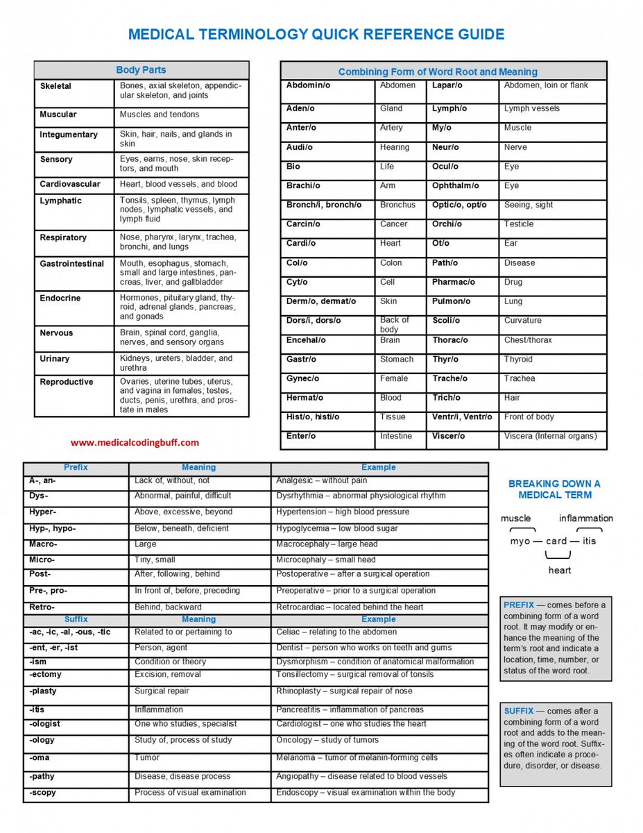 Ph_LamaAlghamdi's tweet photo. Medical Terminology ( important) 🌟

https://t.co/bKYc6FOdro https://t.co/sYhkgfw2ej