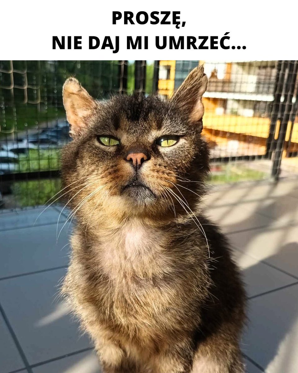 Szukam 392 osób, które wpłacą 5 zł dla Zenusia 🙏🙏

Jest Was tu tak dużo, proszę pomóżcie, przecież 5 zł to nie dużo.

pomagam.pl/9f8yhb