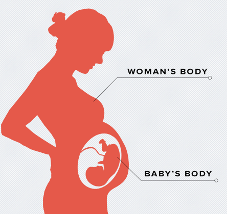 My pro-abortion Democrat opponent claimed I have 'NO business making calls about women's bodies'.

Look at the diagram below to understand where a woman's body starts and stops.

I am 100% pro-life and will vote accordingly in the legislature.
#mtpol #mtleg #mtnews #mtsen