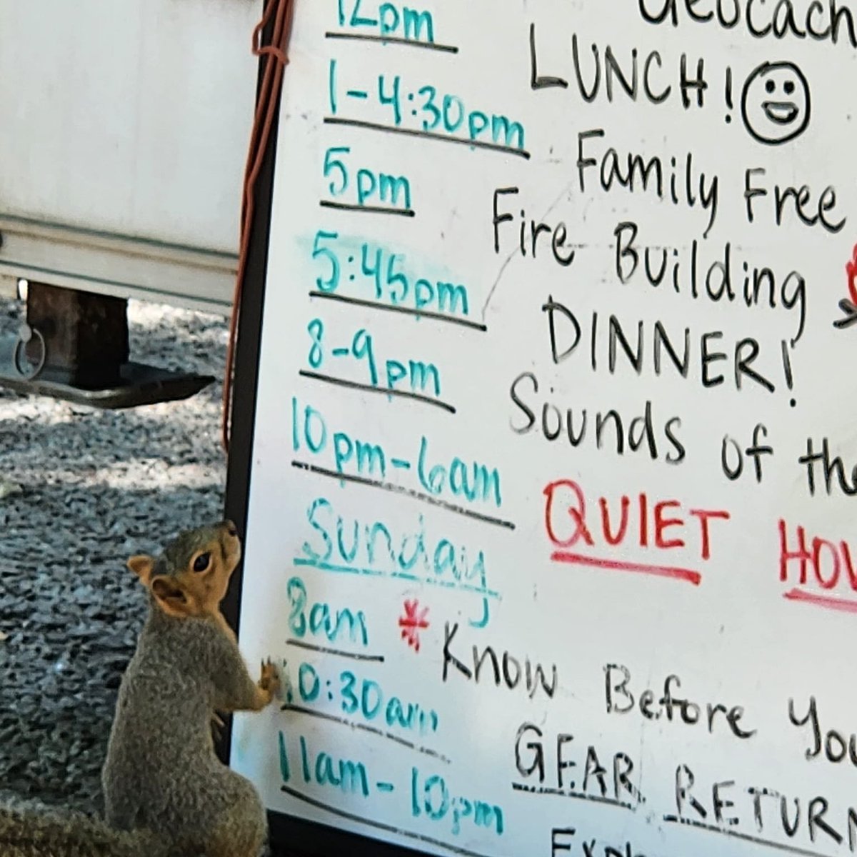 Checking the day's schedule. 📷 Blanco State Park