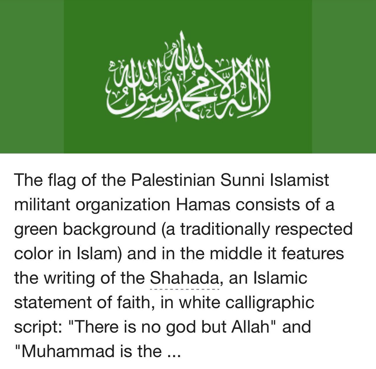 petersthoughts's tweet image. Bay Ridge was filled with terrorist sympathizers!

Fort Hamilton should kick you out of their housing! #FortHamilton