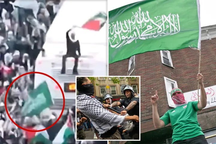 petersthoughts's tweet image. Bay Ridge was filled with terrorist sympathizers!

Fort Hamilton should kick you out of their housing! #FortHamilton