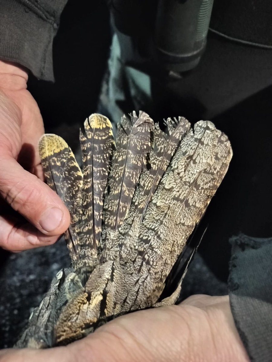 West Midlands Ringing Group tweet media