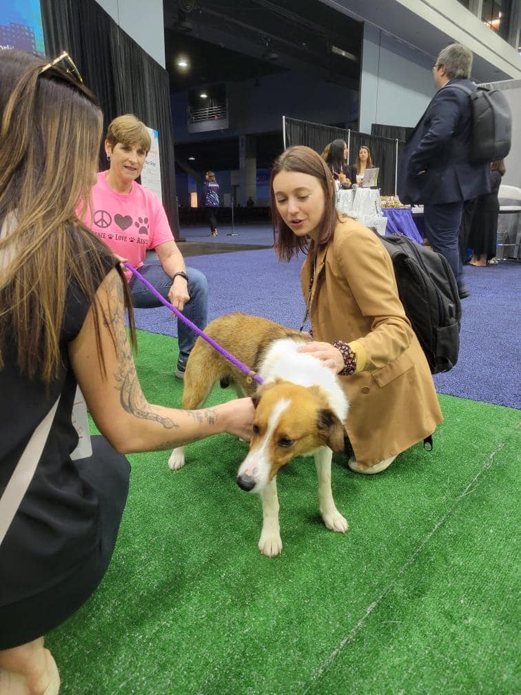 SPCACincinnati's tweet photo. Wonderful start to our day. We thank #BetterComp for having us at the Duke Energy Center for the #WorldatWork Expo! Every event is a great opportunity to showcase animal welfare. https://t.co/VP00ujYbAa